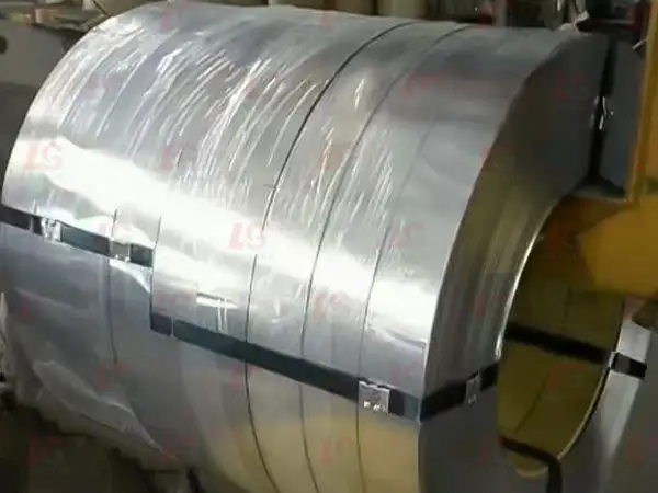 Stainless Steel Strip